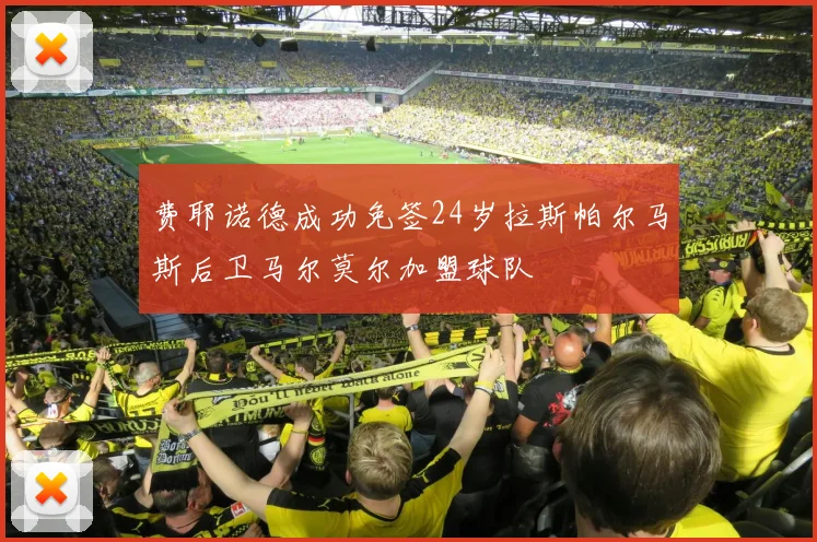 费耶诺德成功免签24岁拉斯帕尔马斯后卫马尔莫尔加盟球队